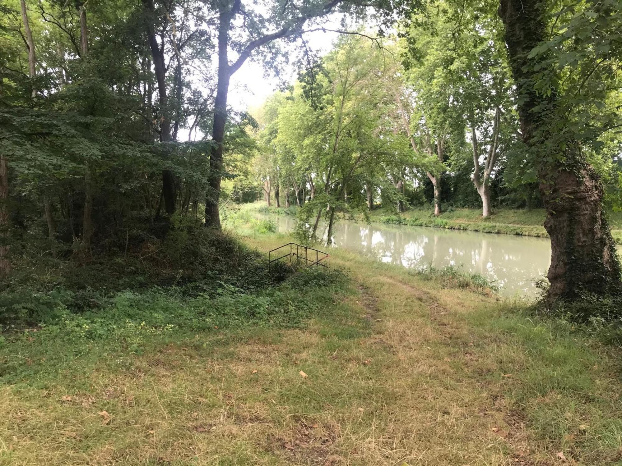 Bus Atypique Au Bord Du Canal Du Midi Et Au Coeur D'Une Foret 2 Chambres Villepinte (Aude) Exterior foto