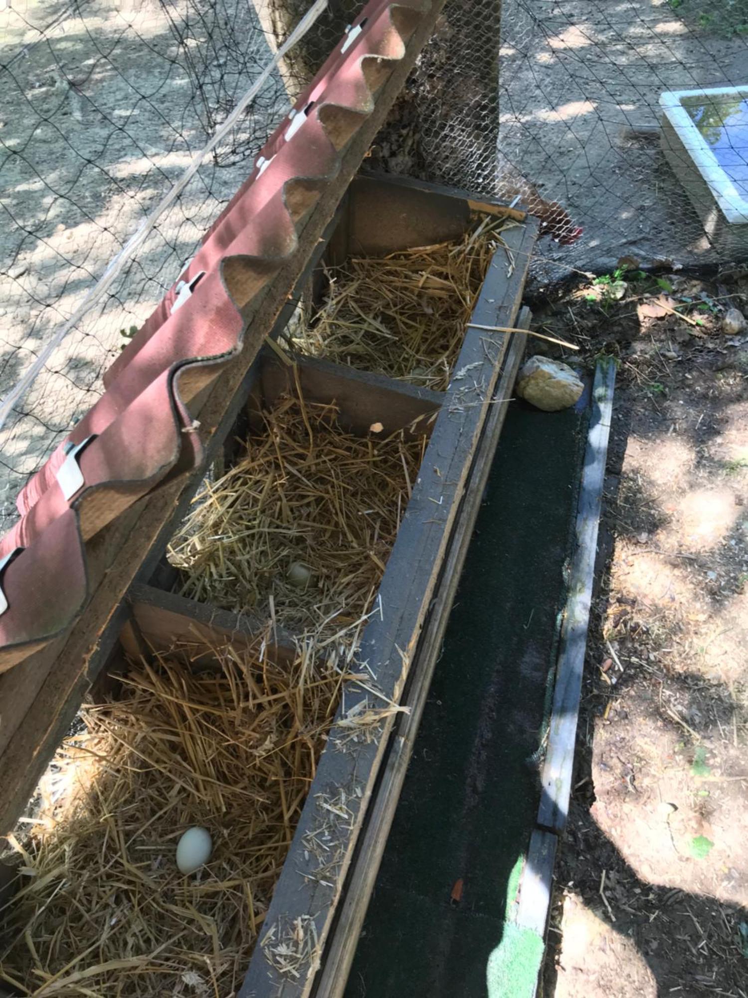 Bus Atypique Au Bord Du Canal Du Midi Et Au Coeur D'Une Foret 2 Chambres Villepinte (Aude) Exterior foto